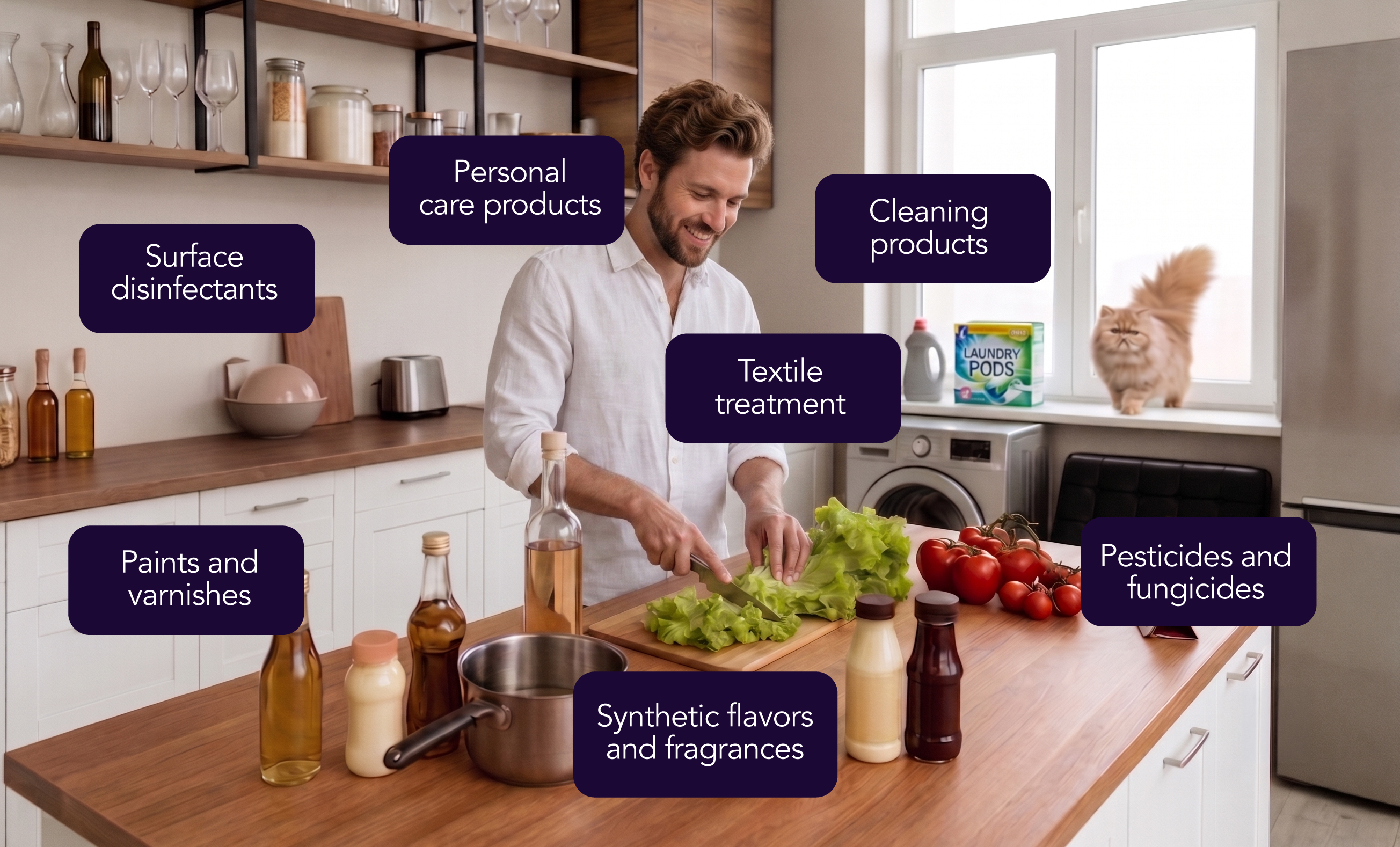 Oleochemicals in everyday products